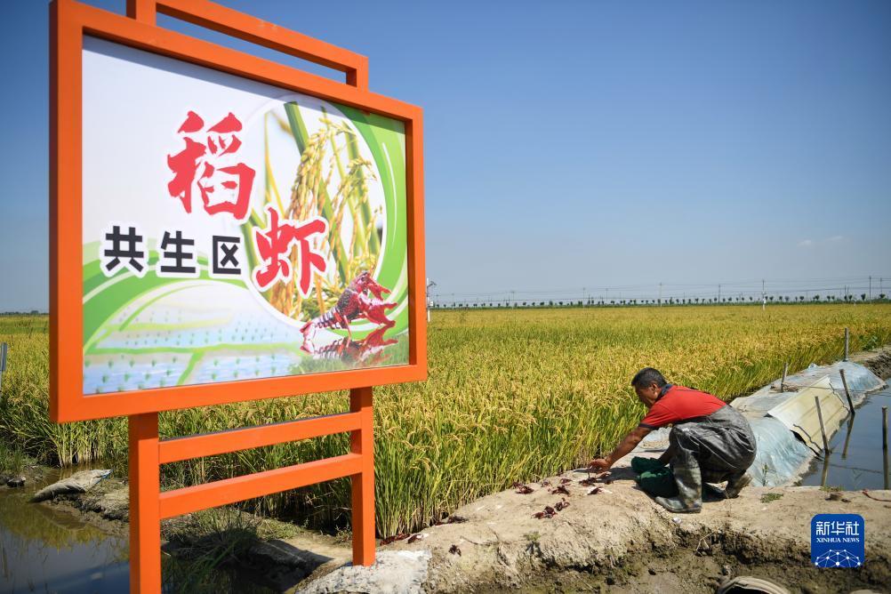 亚太国际苹果版官网